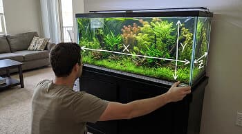 How to measure aquarium dimensions